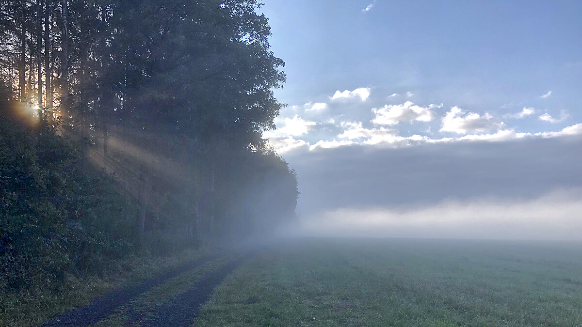 Wallfahrt nach Bornhofen